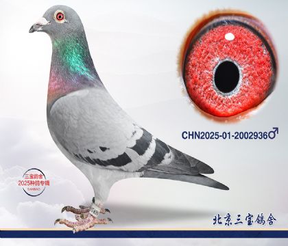 14.�Ǳ�³�Ͻ�Ѫ.2002936