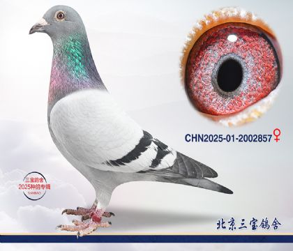 12.����x����.2002857