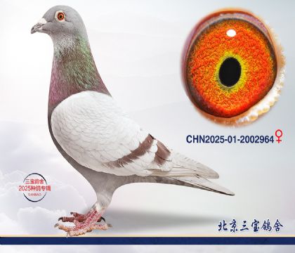 15.����1000��Ѫ.2002964