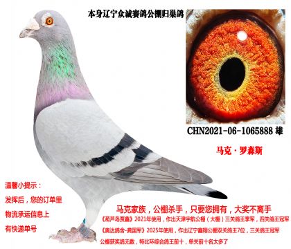 马克·罗森斯(超级种雄888)