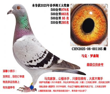 马克·罗森斯(本身25年春季四关成绩鸽)