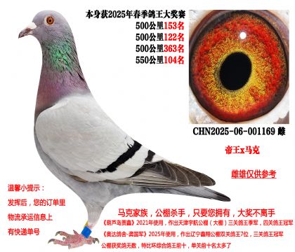 帝王x马克·罗森斯(本身25年春季四关成绩鸽)