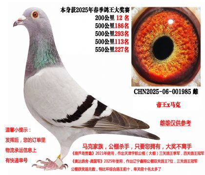 帝王x马克·罗森斯(本身25年春季四关成绩鸽)