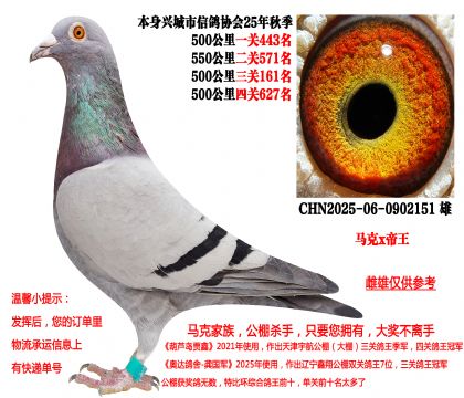 马克·罗森斯x帝王(本身25年秋季四关成绩鸽)