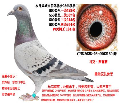 马克·罗森斯(本身25年秋季四关成绩鸽)