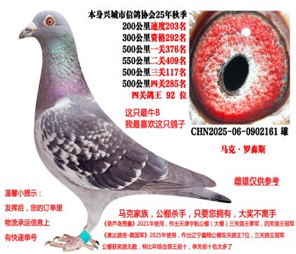 马克·罗森斯(本身25年秋季四关成绩鸽)强烈推荐