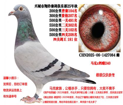 马克·罗森斯x奶酪240(本身25年秋季四关成绩鸽)