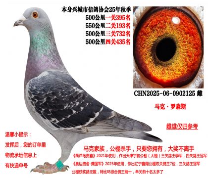 马克·罗森斯(本身25年秋季四关成绩鸽)