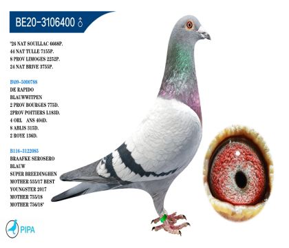 ������.��˹ԭ�� �����ɼ�2252��8λ