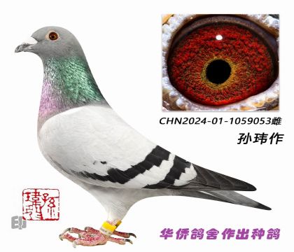 4��-ֱϵ�ɼ�:2019�������繫�����66����053�Ŵ�