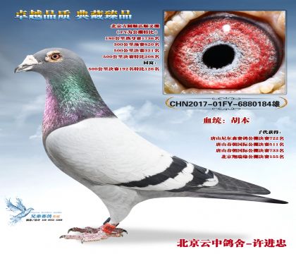 ������Բ˳�����321���ر�208��