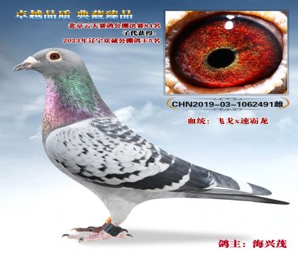 ����ï84��-�ڳϸ���5ĸ��