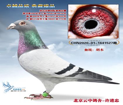 ��ɽ��������773��