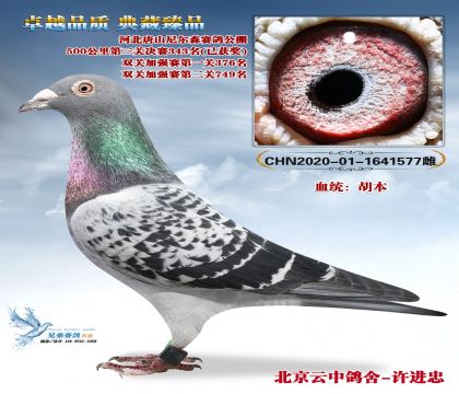 ��ɽ���ɭ����343