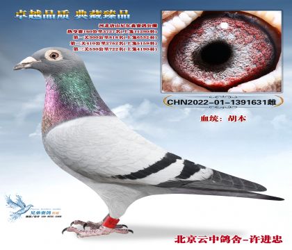 ��ɽ���ɭ����722��