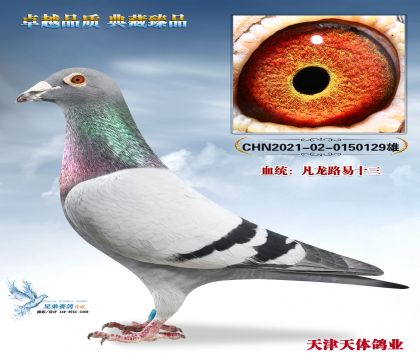 ������已��