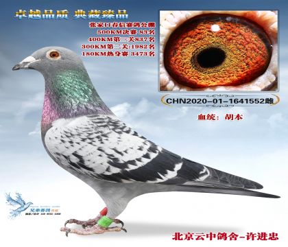 �żҿڴ��ž���83��