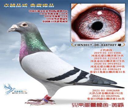 �й�ʯ�͹�������ھ�_