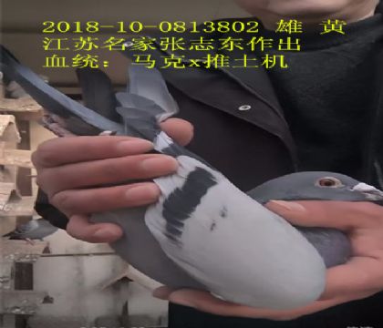 ����������־����������x������