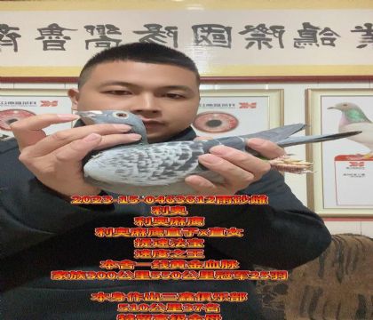 �ر��Ƽ���ĸ��������ӥֱ��xֱŮ