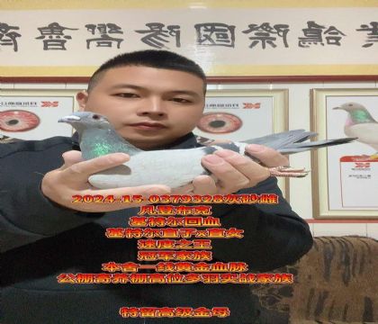 �ھ����壡���ǲ��˻��ض���Ѫ����ü��ĸ