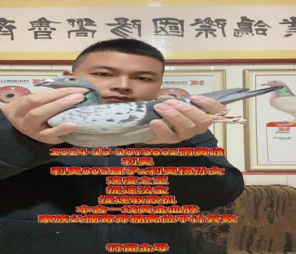 ���ٷ���������003ֱ��x��������Ů