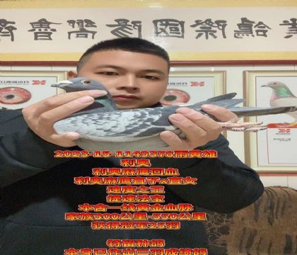 ��ͷ������ӥ��������ӥֱ��xֱŮ��������