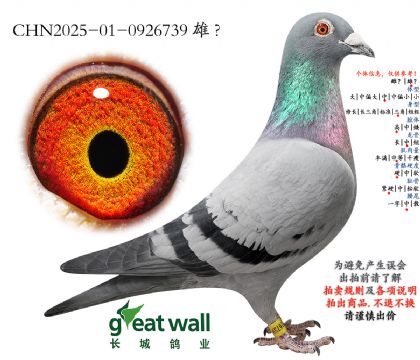 1.�����������.0926739