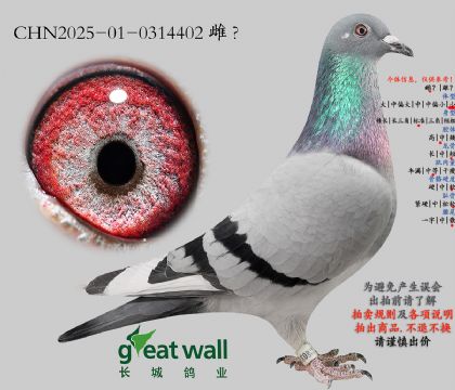 4.�Ǳ�Ѫϵ.0314402