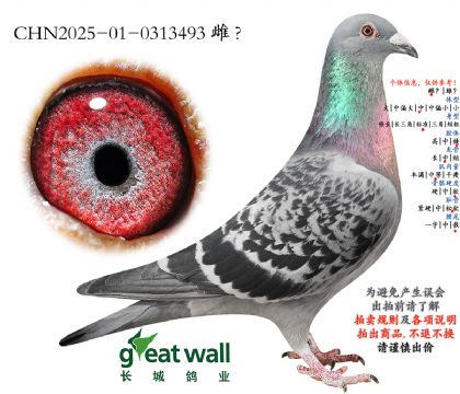 2.��������ھ����.0313493