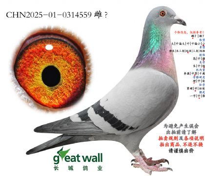 3.����Ѫϵ.0314559