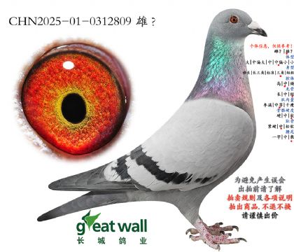 6.���ǲ���x����.0312809