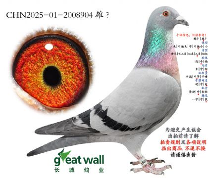 5.��������606�Ӵ�.2008904