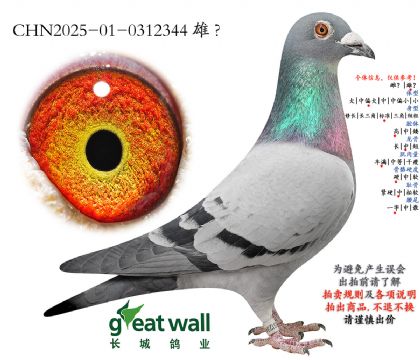 9.����������.0312344