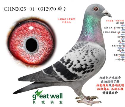 8.ղ��˹x����.0312970