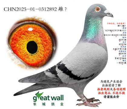 12.����x��ʱ��.0312892