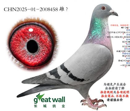 10.����xղ��˹801.2008458