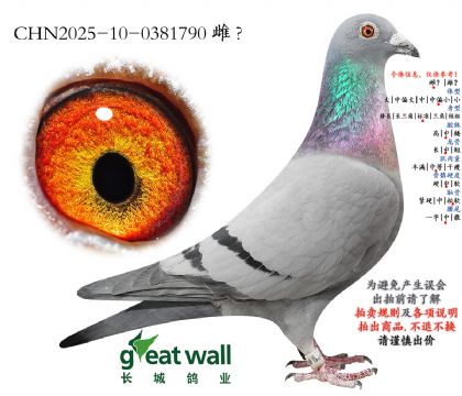 11.�װ����.0381790