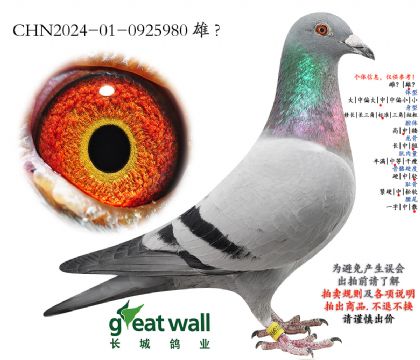 13.����ʳ�Ӵ�.0925980