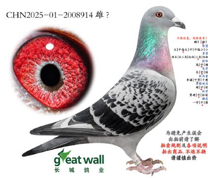 17.����x���ض�.2008914