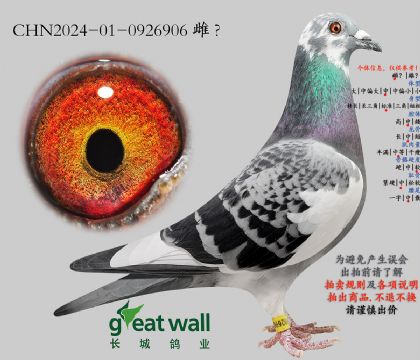 15.����ҫ�����.0926906