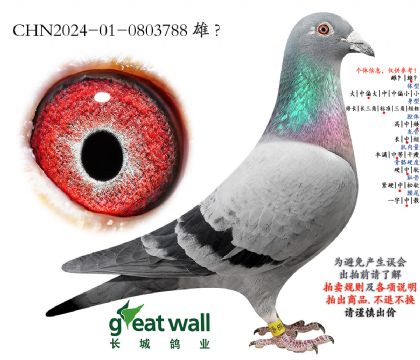 16.��ħ��ʱ���Ӵ�.0803788