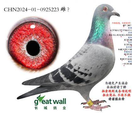 18.�½�ķȫ�����Ӵ�.0925223