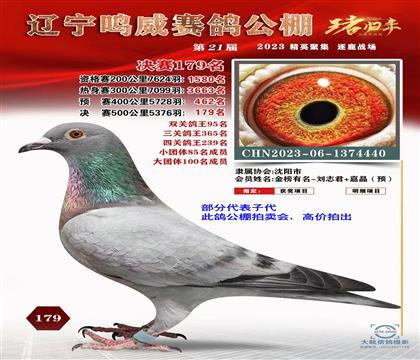 �����Ӵ�