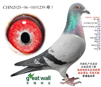 1.��ά��Ů�����.0101239