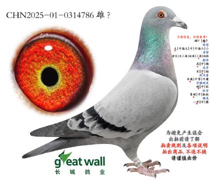 2.��ʱ�ݶ������.0314786