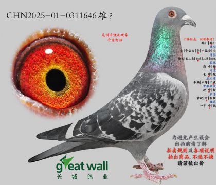 5.������ҫ���Ӵ�.0311646