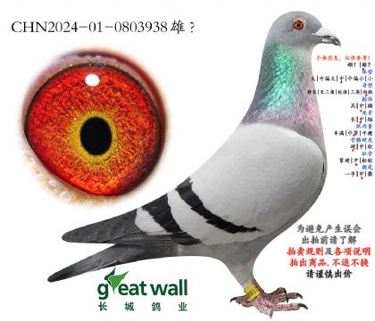 4.�ٸ�һ�عھ��Ӵ�.0803938