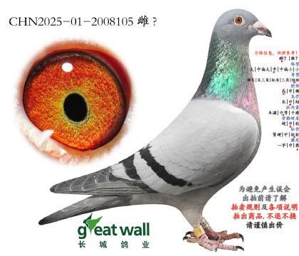 7.��������ŷ���.2008105