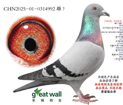 10.�¿��������.0314992